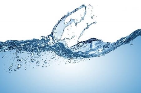 A water splash with the tip of its tail.