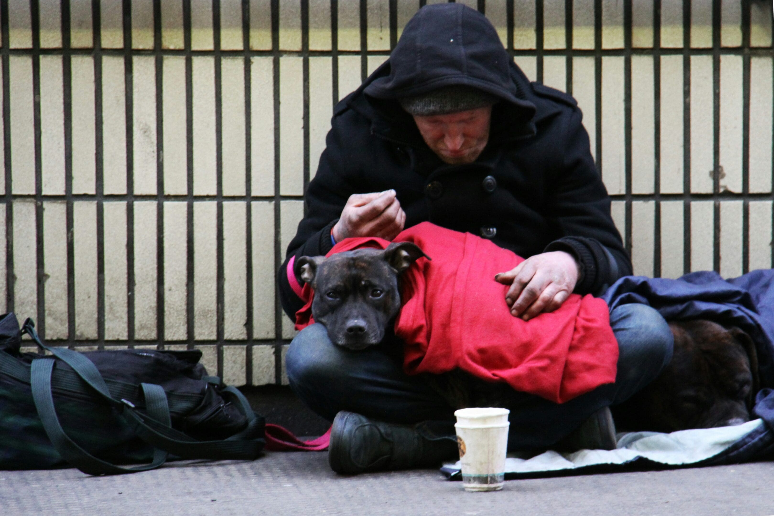 A man sitting on the ground with his dog.